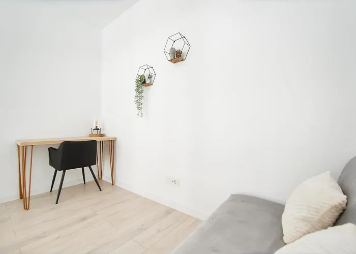 Monochrome Style Central Apartment