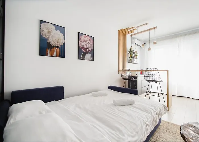 Monochrome Style Central Apartment