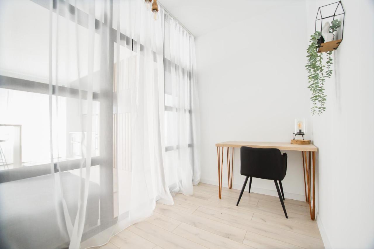 Apartment Monochrome Style Oradea