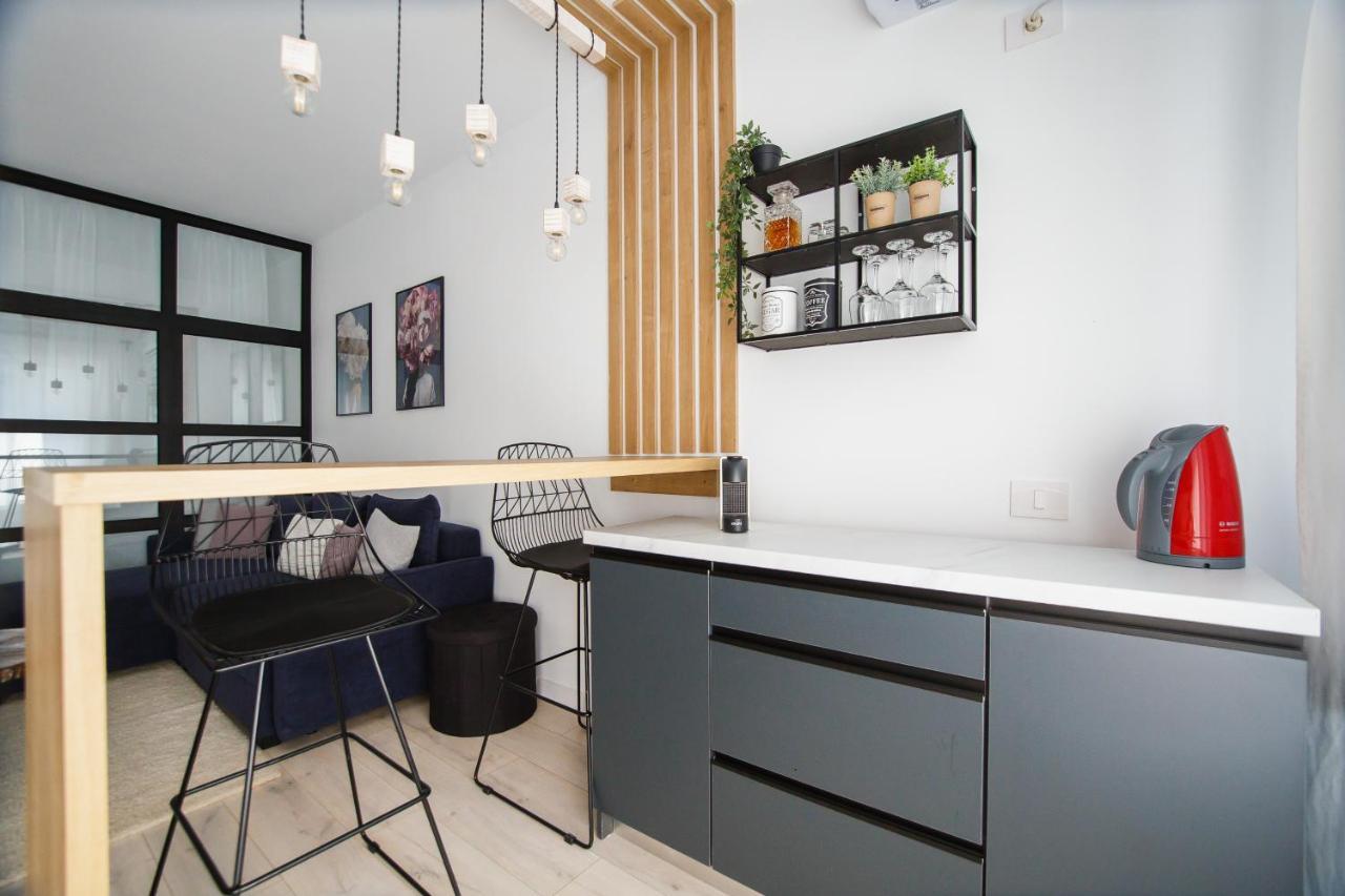 Apartment Monochrome Style Oradea